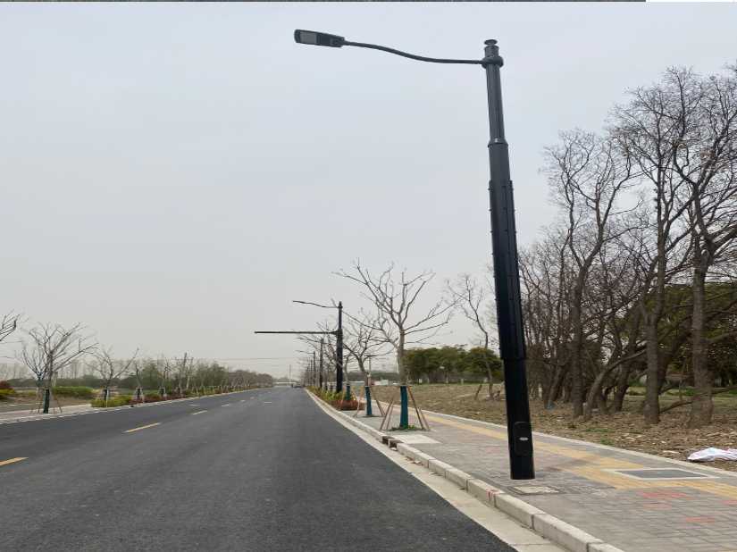 福清市上海综合杆 太阳能路灯工程